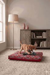 Kuddle Krew Outer Cover in Imperial Cardinal House Nimbus