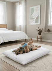 Kuddle Krew Pet Bed- Inner Cushion with Zip Liner House Nimbus