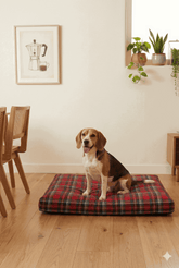 Kuddle Krew Outer Cover in Forest Run House Nimbus