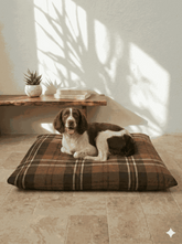 Kuddle Krew Outer Cover in Cozy Woof Brown House Nimbus