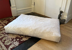 Cotton Duck Canvas Dog Bed - Lightweight CertiPUR Foam Fill House Nimbus
