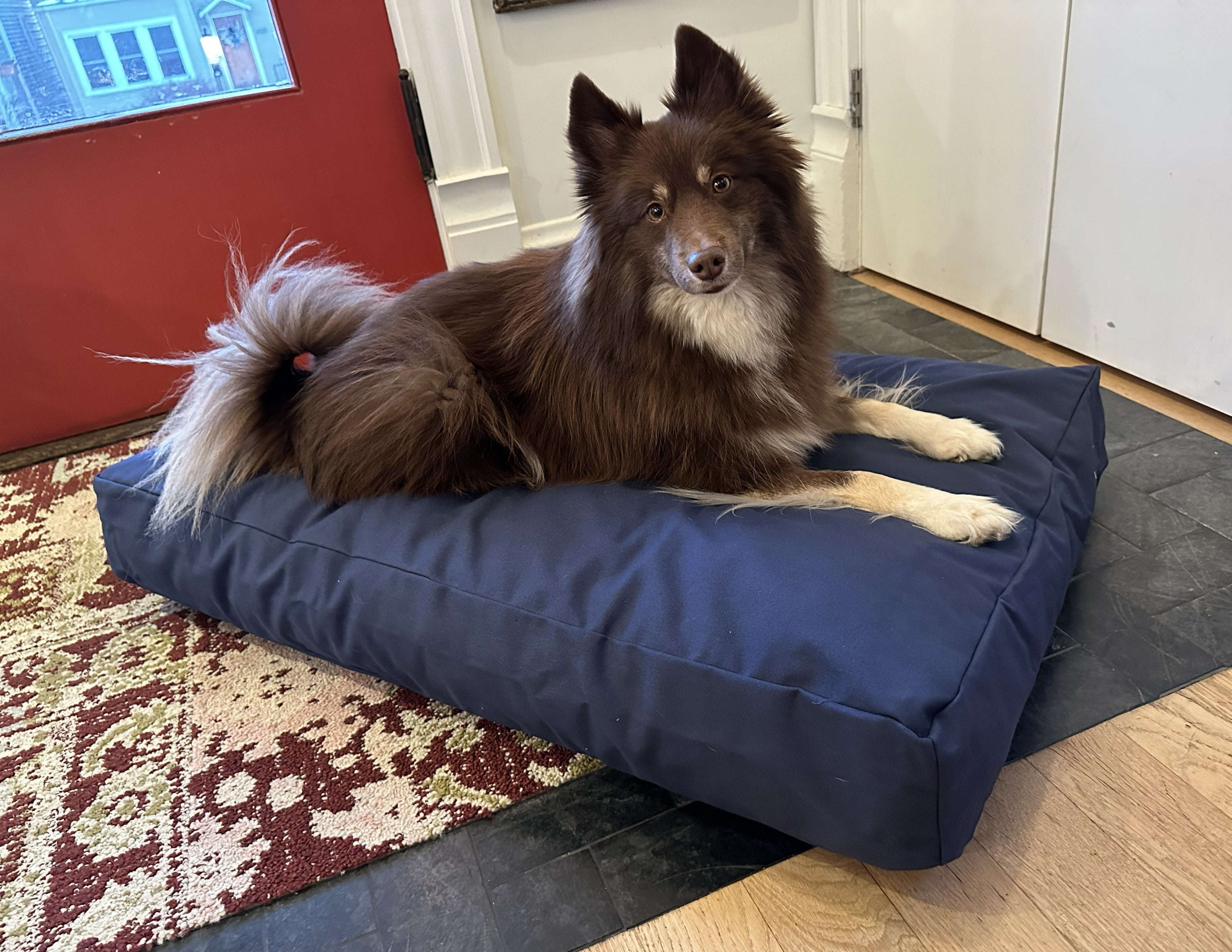 Cotton Duck Canvas Dog Bed - Lightweight CertiPUR Foam Fill House Nimbus