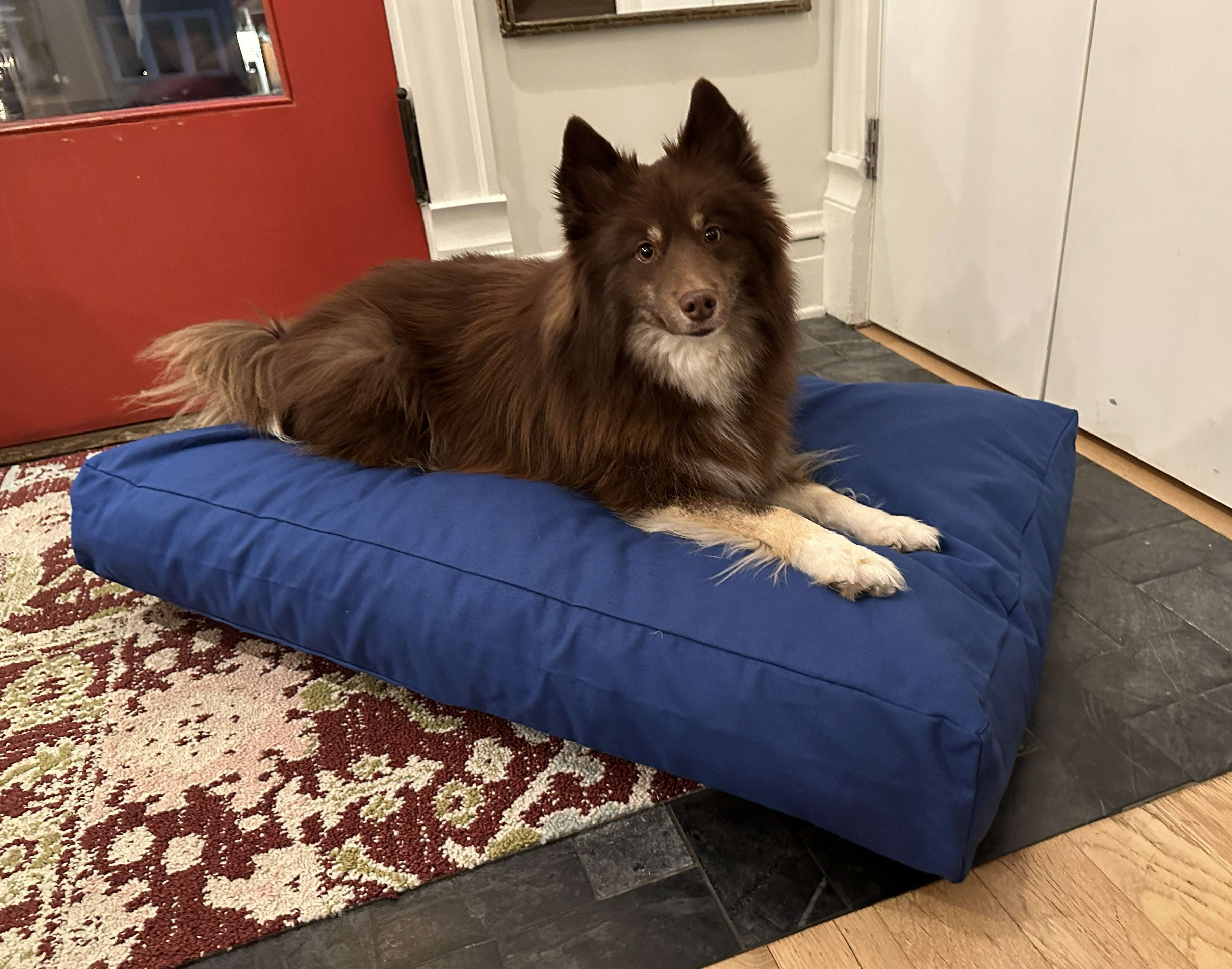 Cotton Duck Canvas Dog Bed - Lightweight CertiPUR Foam Fill House Nimbus