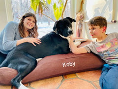Premium Hemp Dog Bed - Organic Latex Foam Fill House Nimbus