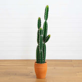5’ Artificial Cactus in Terracotta Planter House Nimbus
