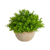 5” Boxwood Artificial Plant in Decorative Planter House Nimbus
