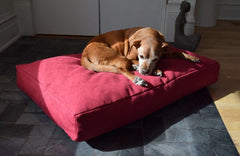 Hemp Dog Bed Covers Only - No Fill House Nimbus
