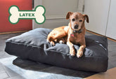 Premium Hemp Dog Bed - Organic Latex Foam Fill House Nimbus
