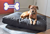 Premium Hemp Dog Bed - Lightweight CertiPUR Foam Fill House Nimbus