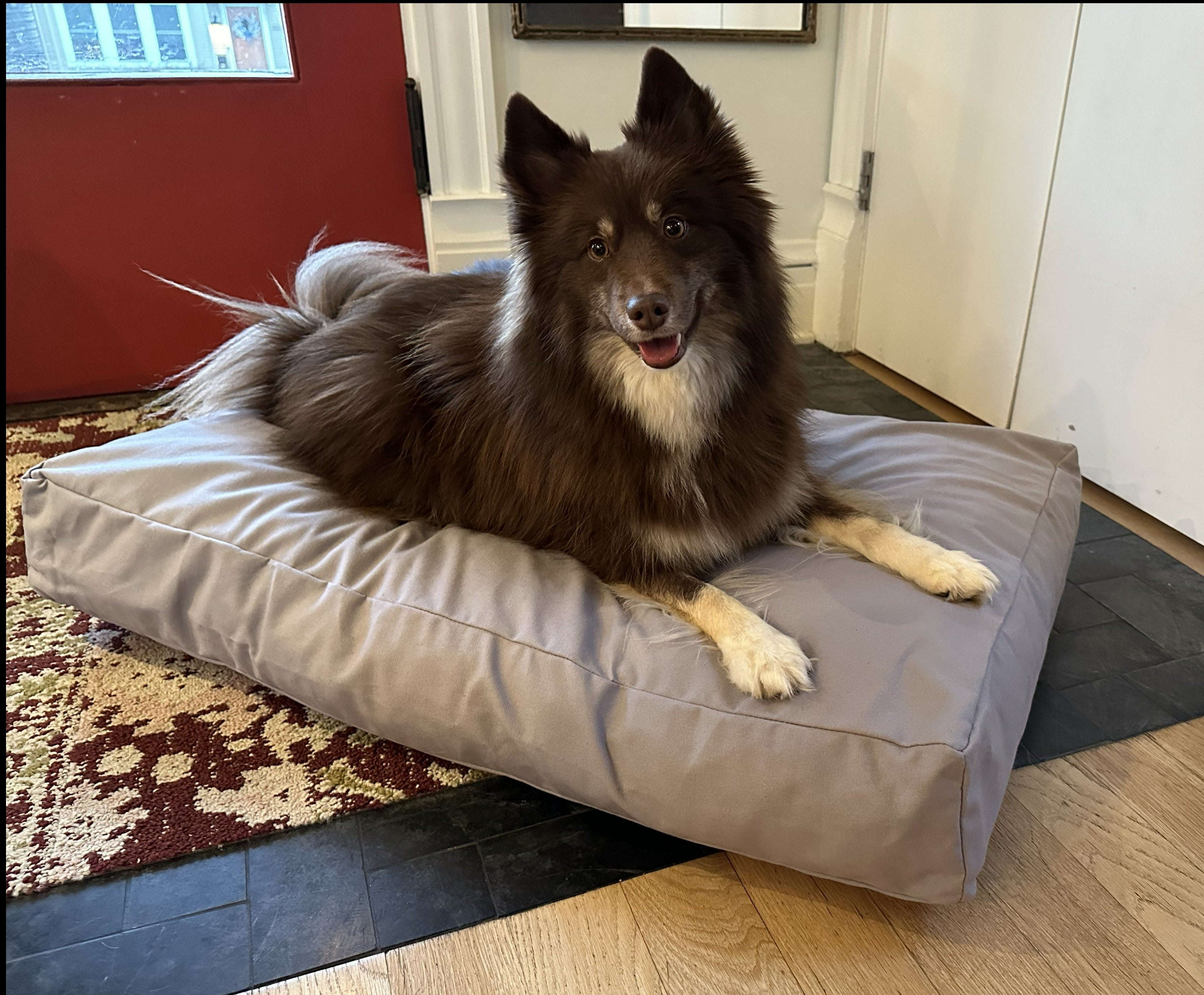 Cotton Duck Canvas Dog Bed - Lightweight CertiPUR Foam Fill House Nimbus