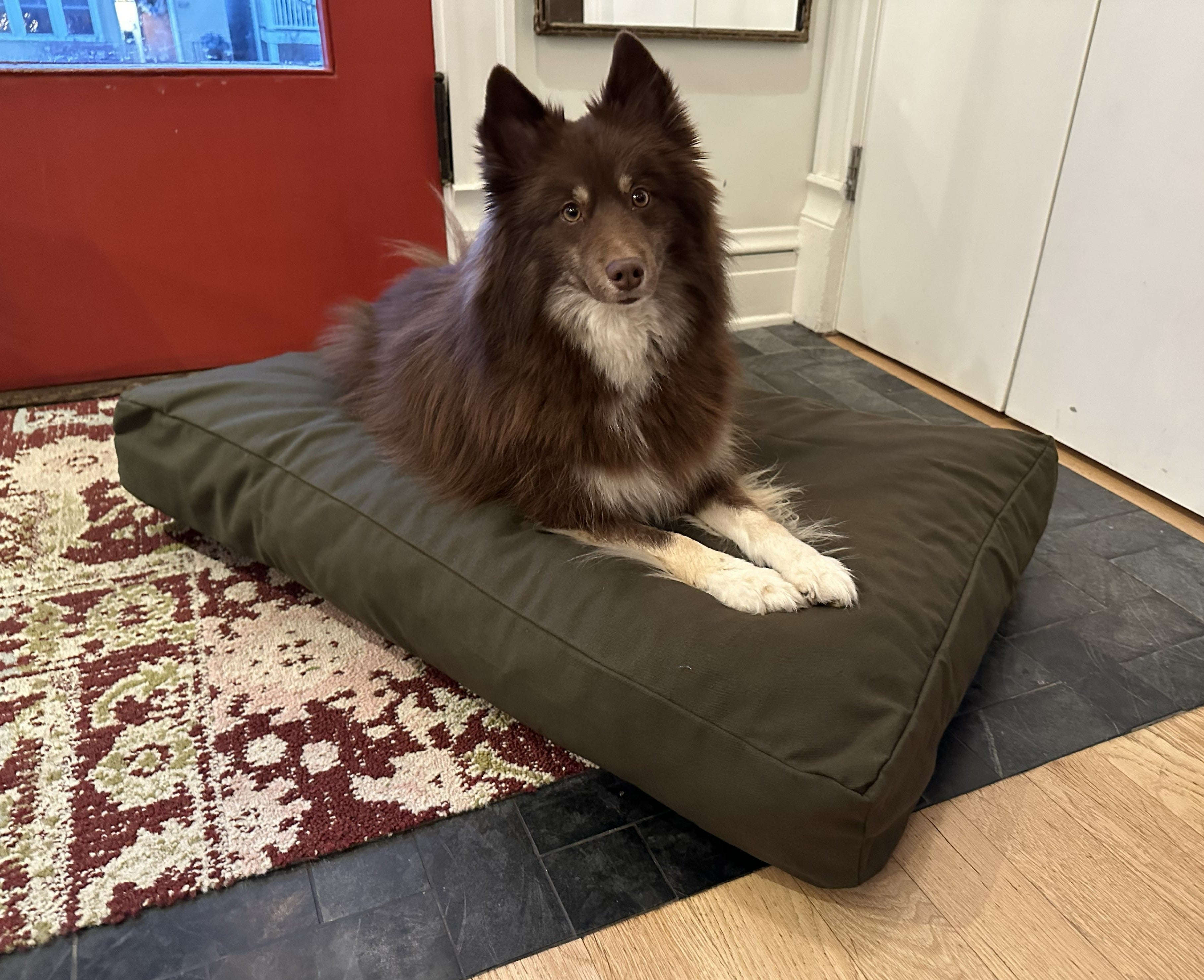 Cotton Duck Canvas Dog Bed - Lightweight CertiPUR Foam Fill House Nimbus