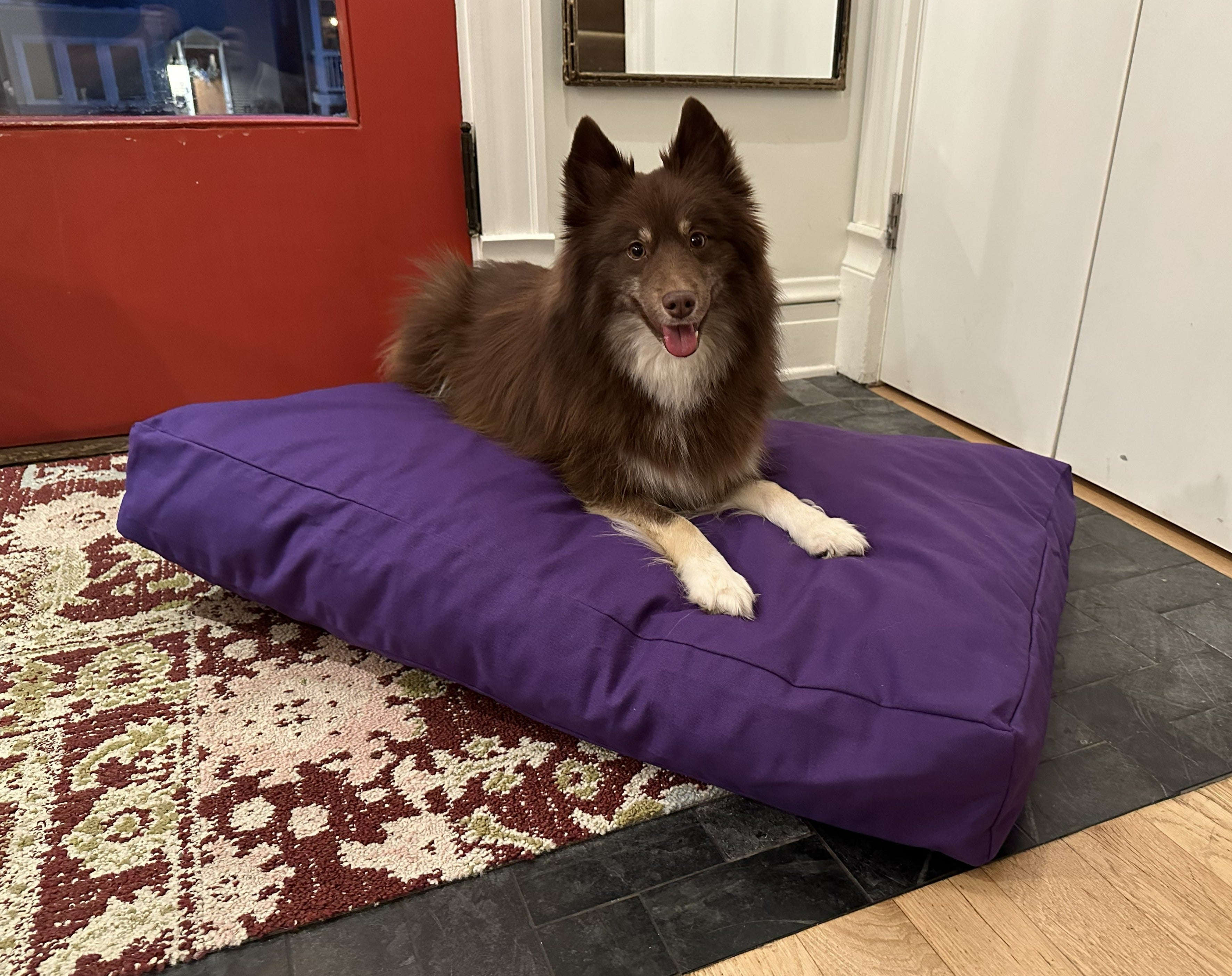 Cotton Duck Canvas Dog Bed - Lightweight CertiPUR Foam Fill House Nimbus