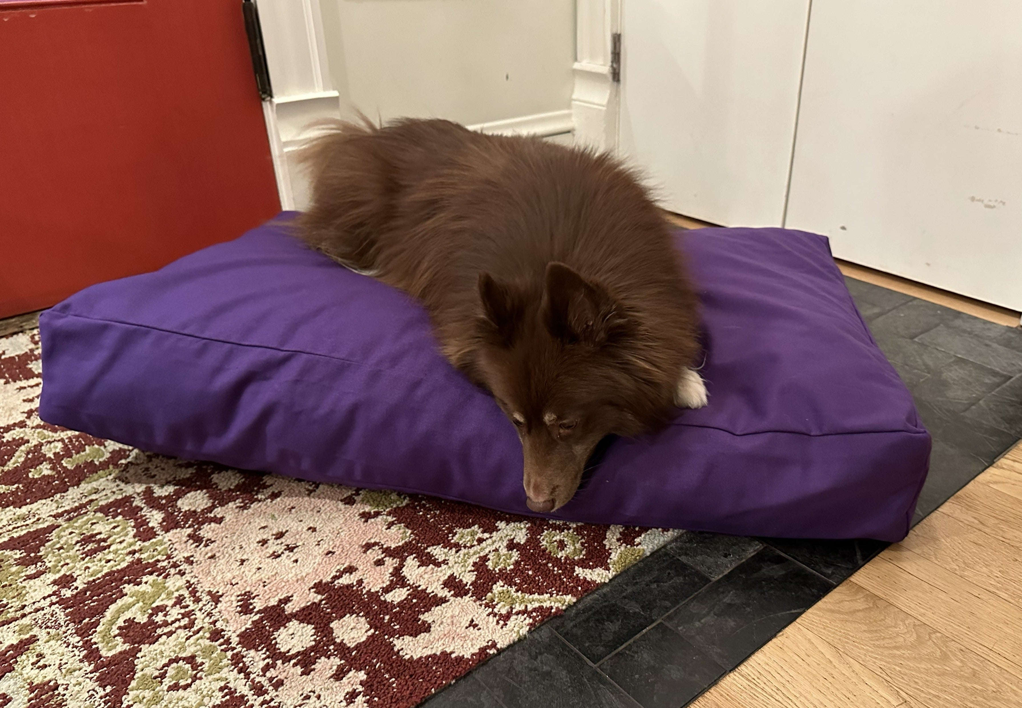 Cotton Duck Canvas Dog Bed - Lightweight CertiPUR Foam Fill House Nimbus