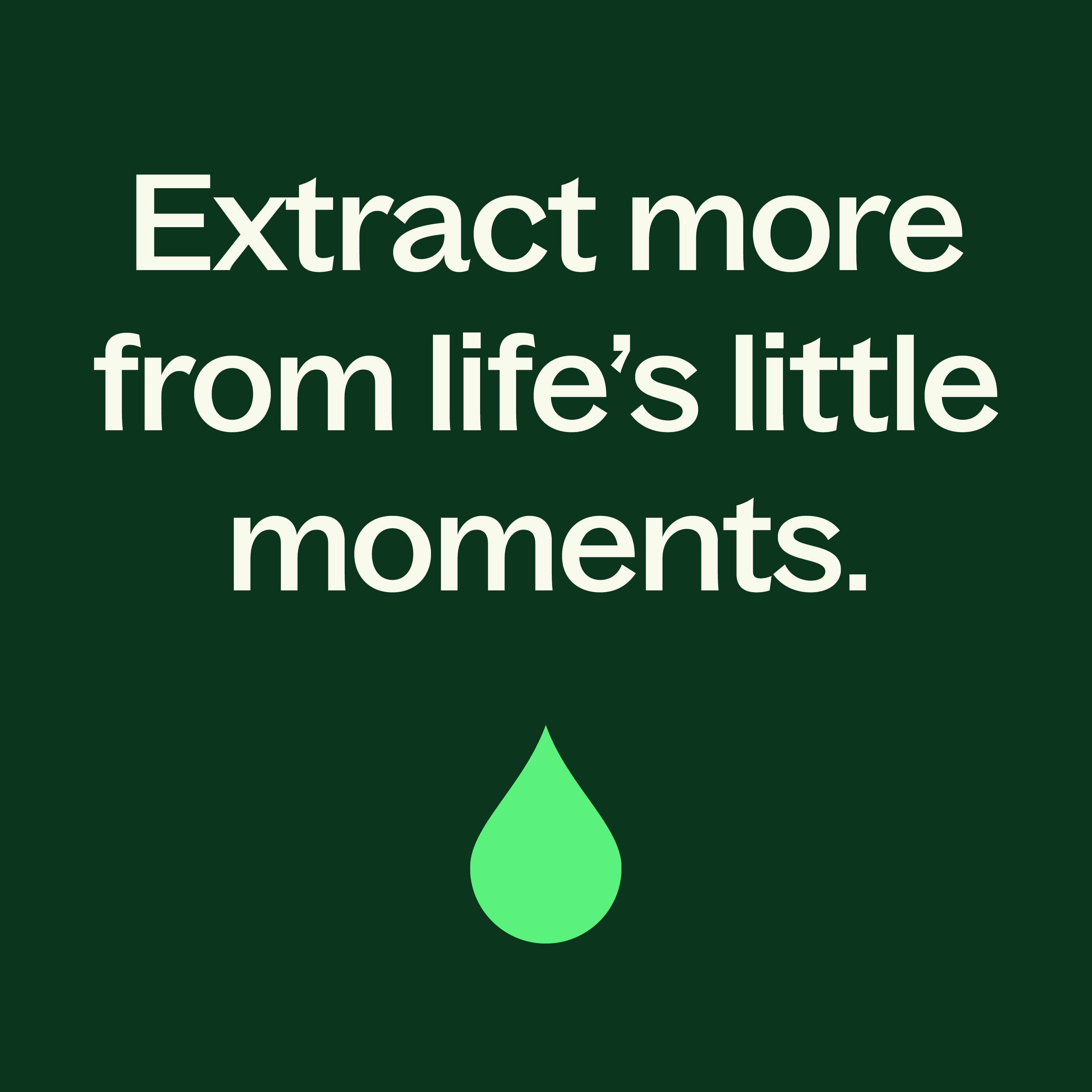 Organic Lemon Basil Essential Oil Blend