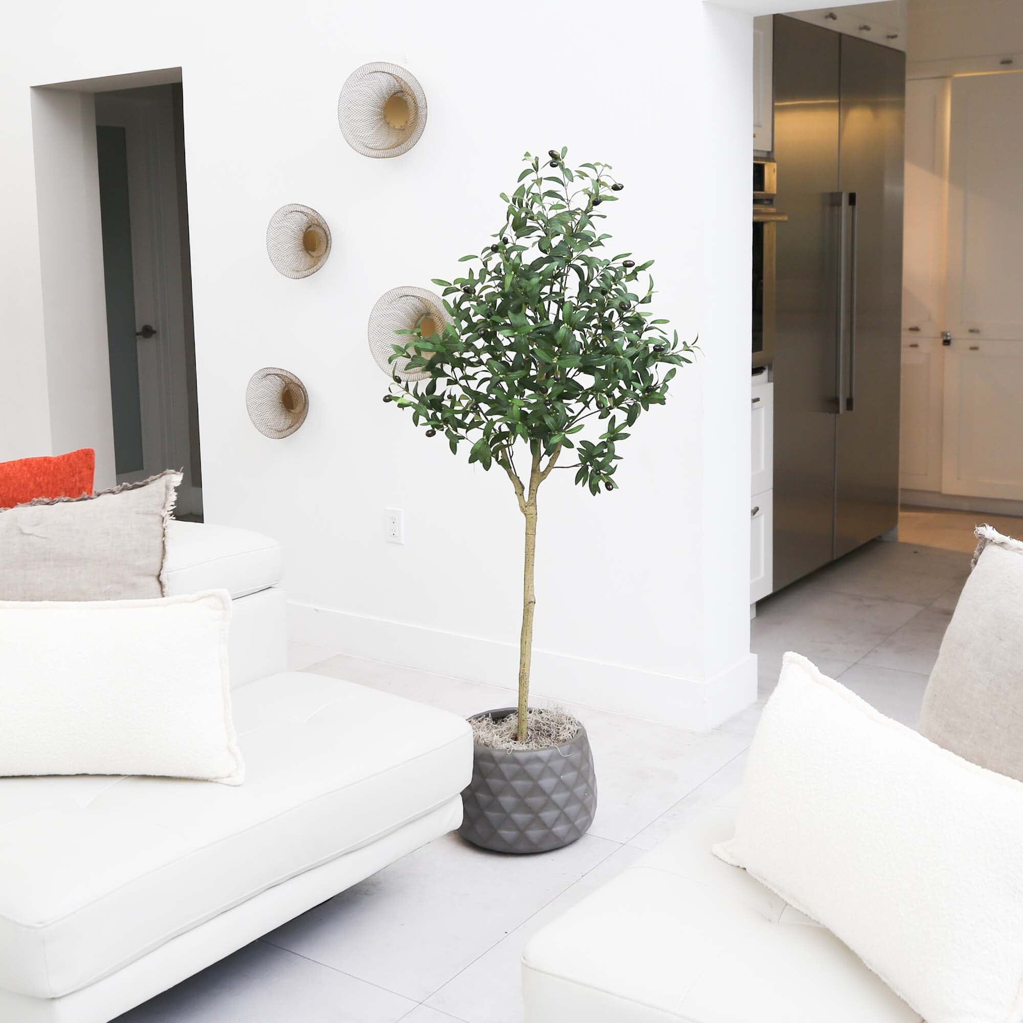 4’ Artificial Olive Tree House Nimbus