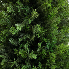 4’ UV Resistant Artificial Cedar Tree in Decorative White Planter (Indoor/Outdoor) House Nimbus