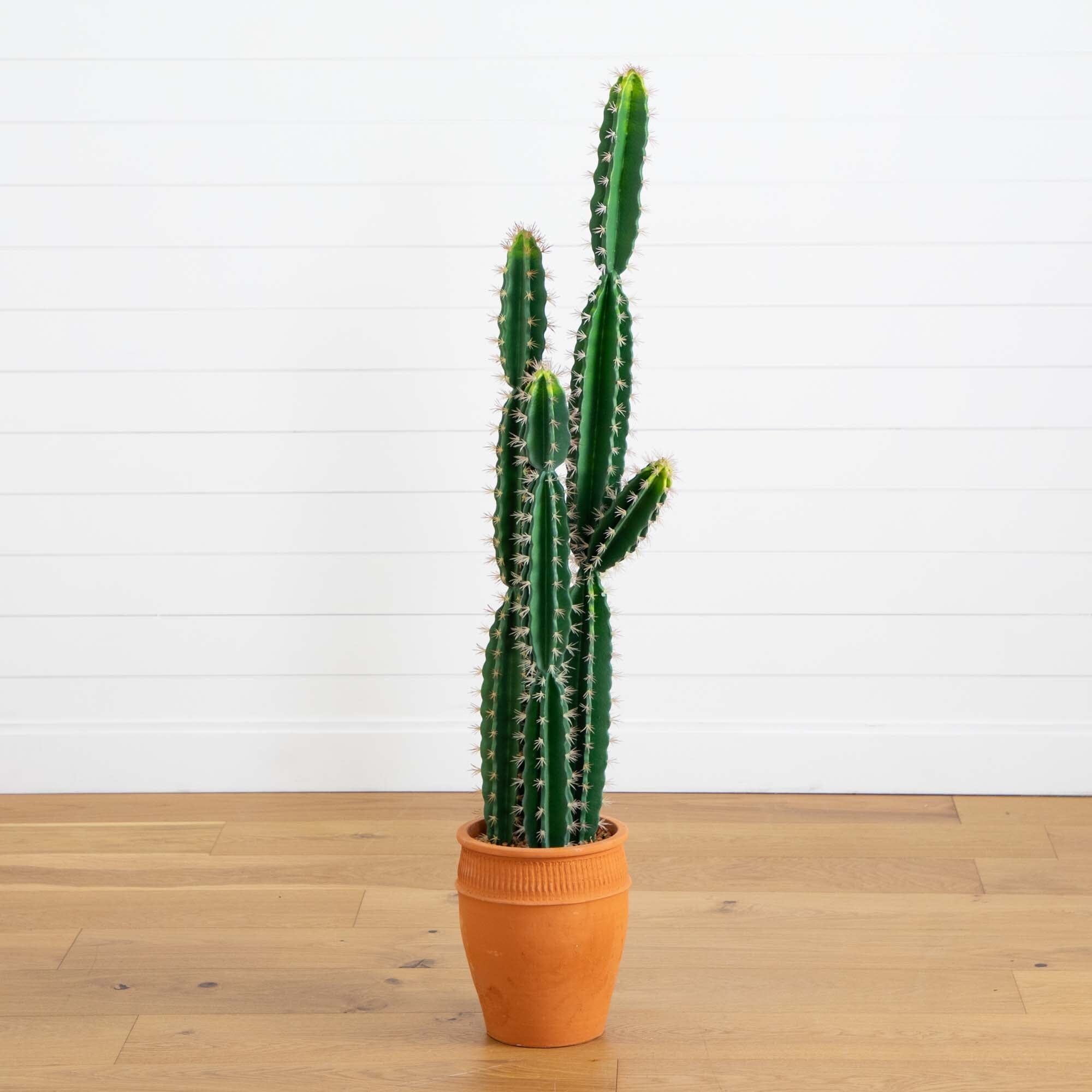 5’ Artificial Cactus in Terracotta Planter House Nimbus
