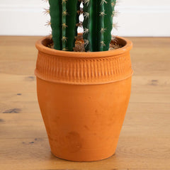 5’ Artificial Cactus in Terracotta Planter House Nimbus