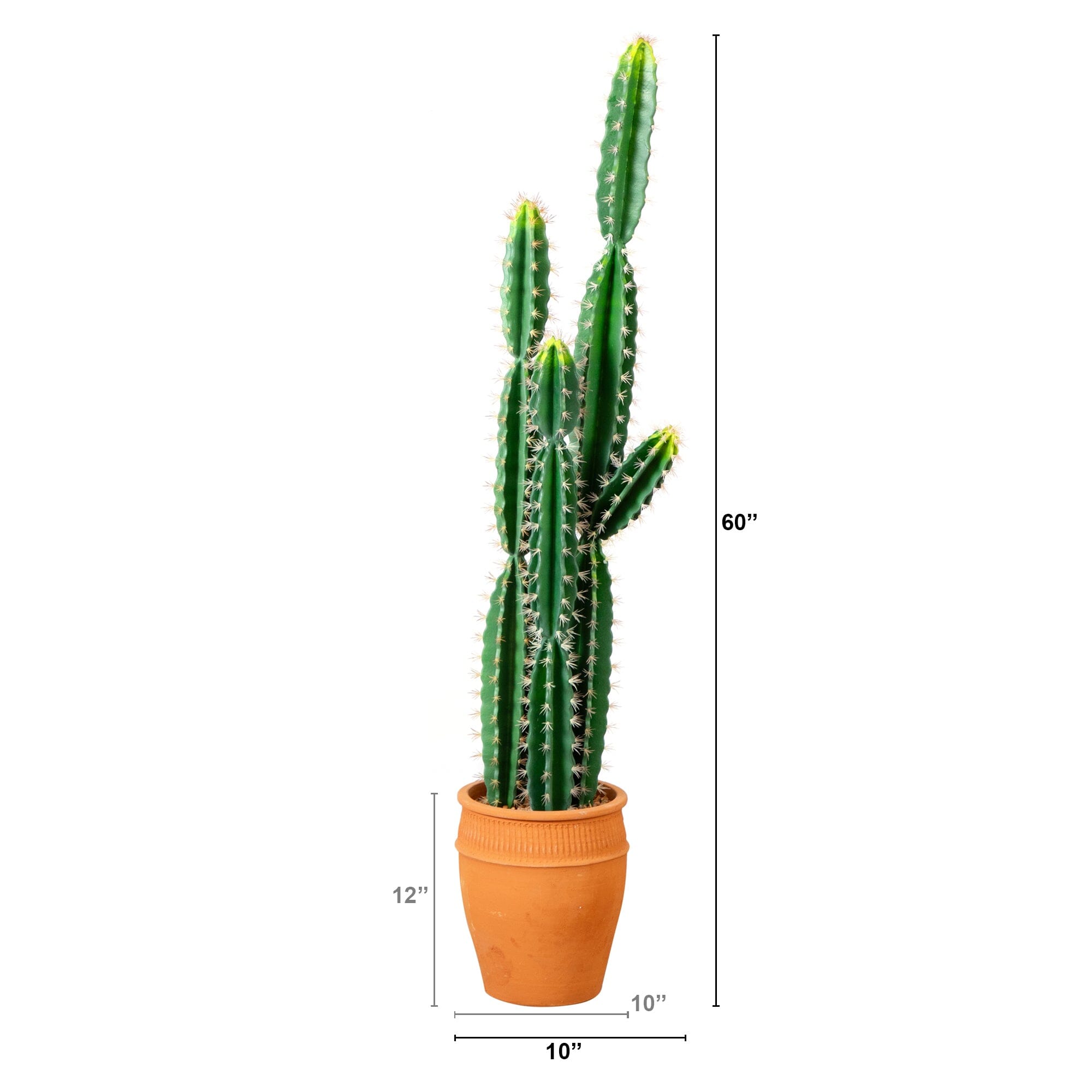 5’ Artificial Cactus in Terracotta Planter House Nimbus