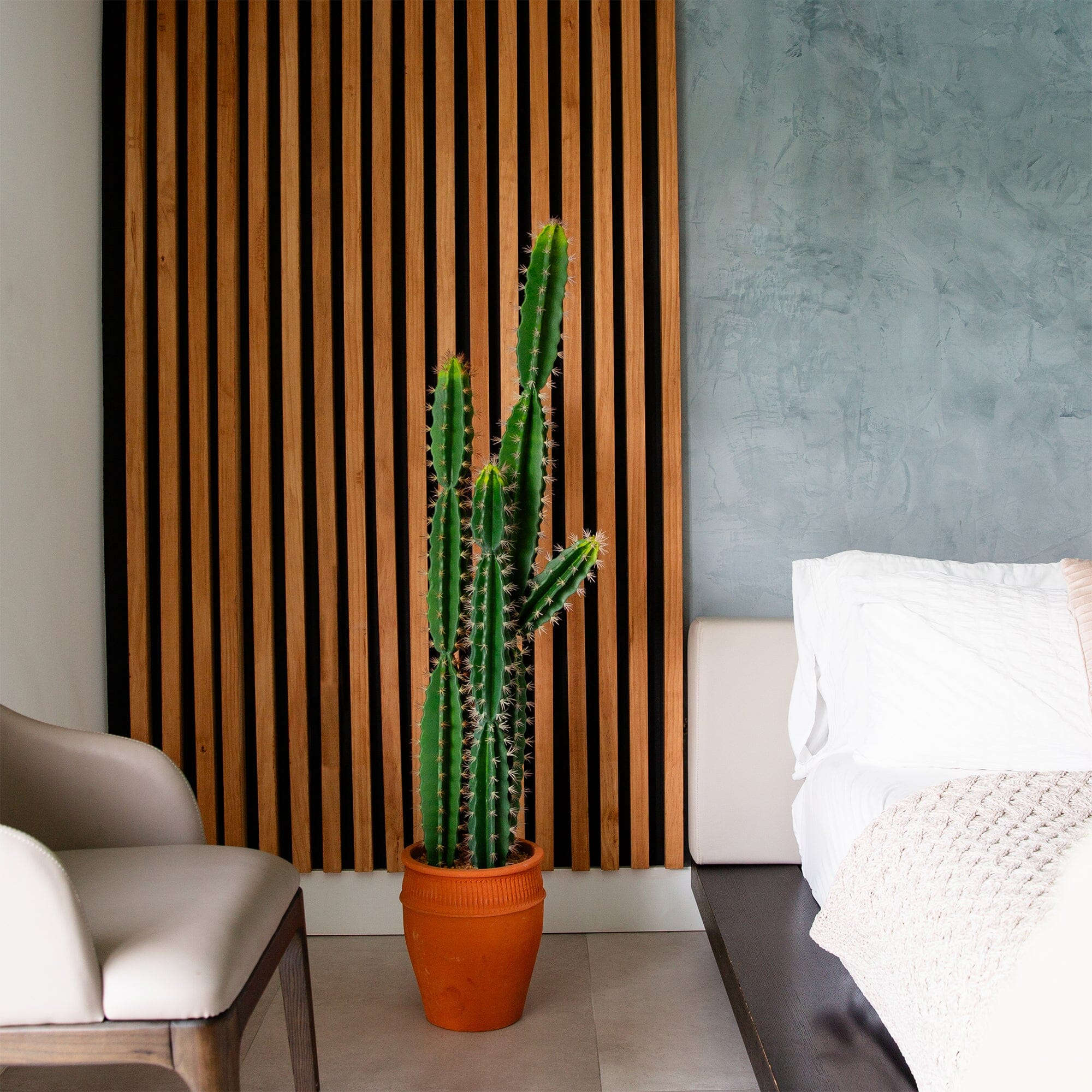 5’ Artificial Cactus in Terracotta Planter House Nimbus