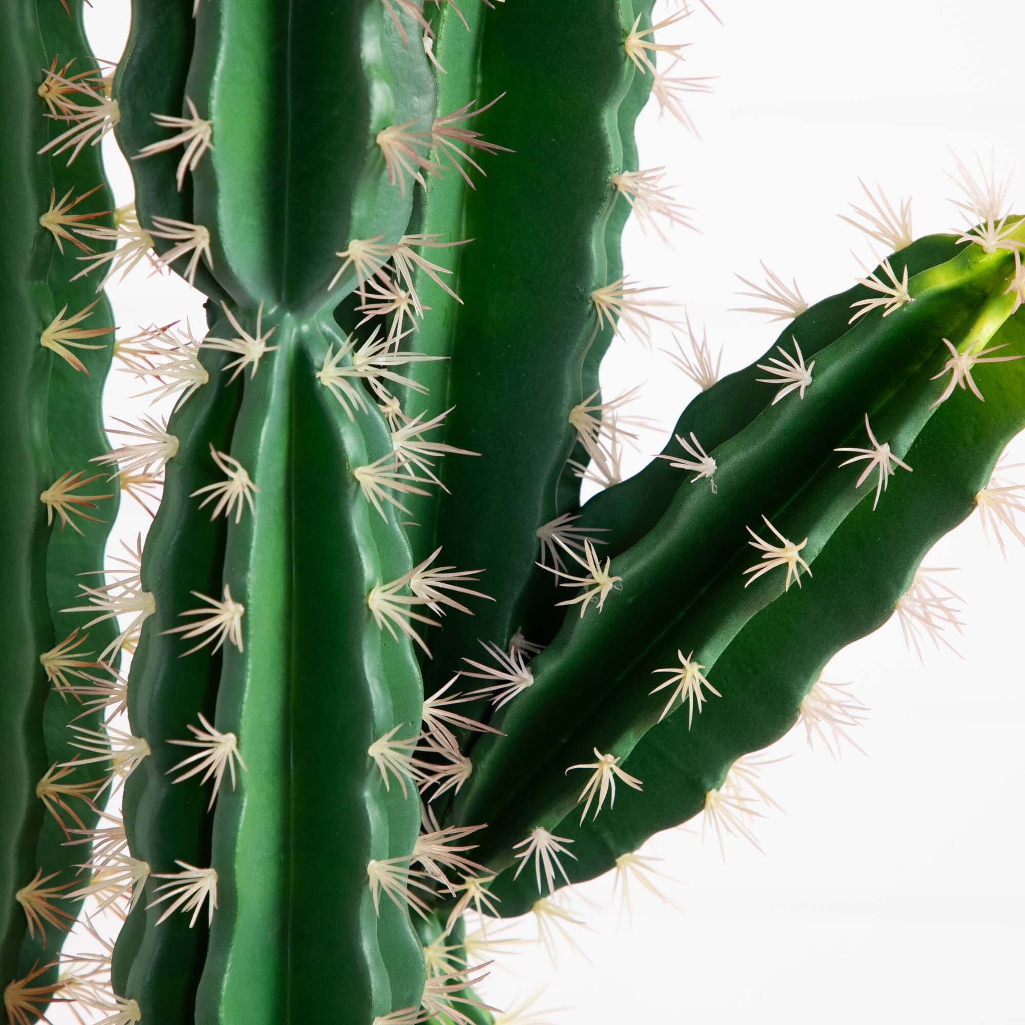 5’ Artificial Cactus in Terracotta Planter House Nimbus