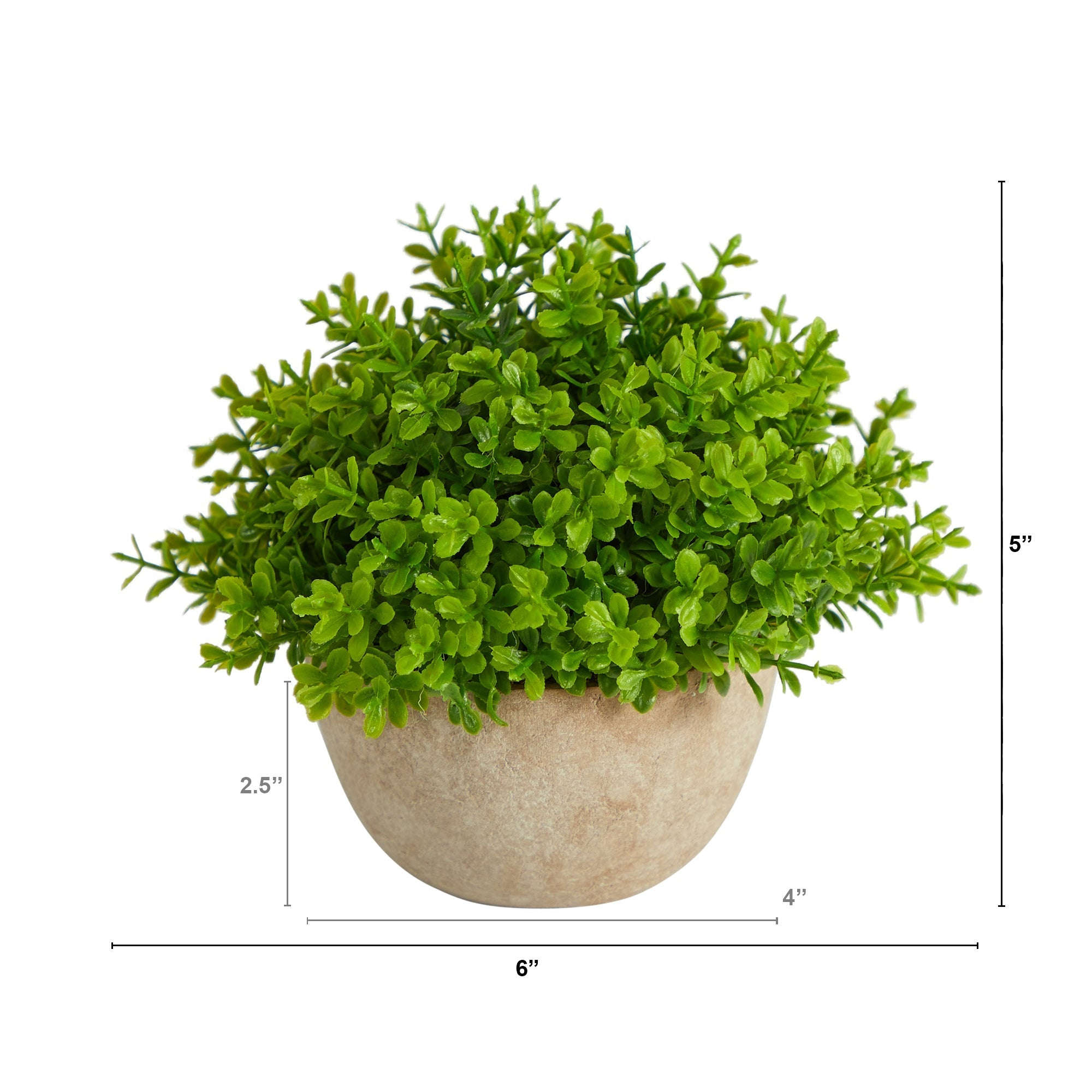 5” Boxwood Artificial Plant in Decorative Planter House Nimbus