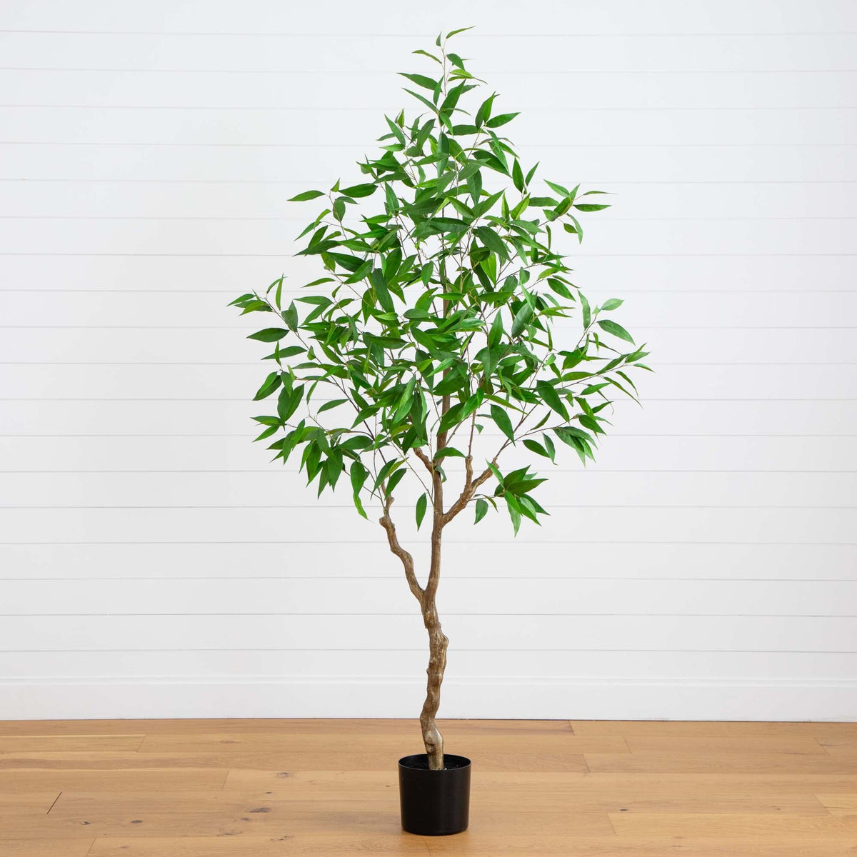 7' Artificial Long Leaf Greco Eucalyptus Tree with Real Touch Leaves House Nimbus