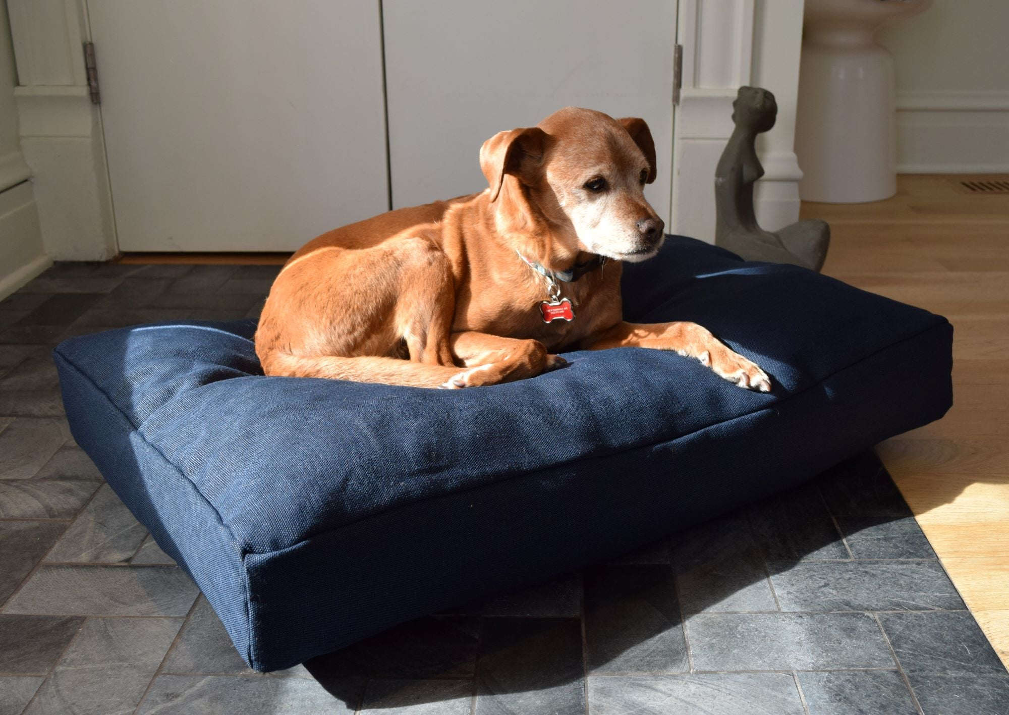 Premium Hemp Dog Bed - Organic Latex Foam Fill House Nimbus