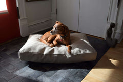 Hemp Dog Bed Covers Only - No Fill House Nimbus